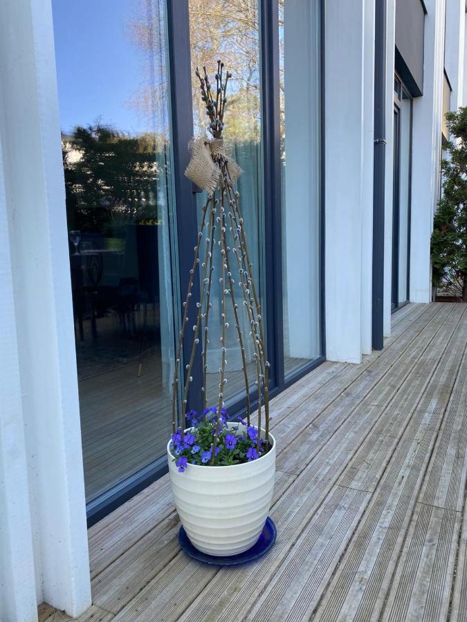 New Loft Majori With Terrace Apartment
