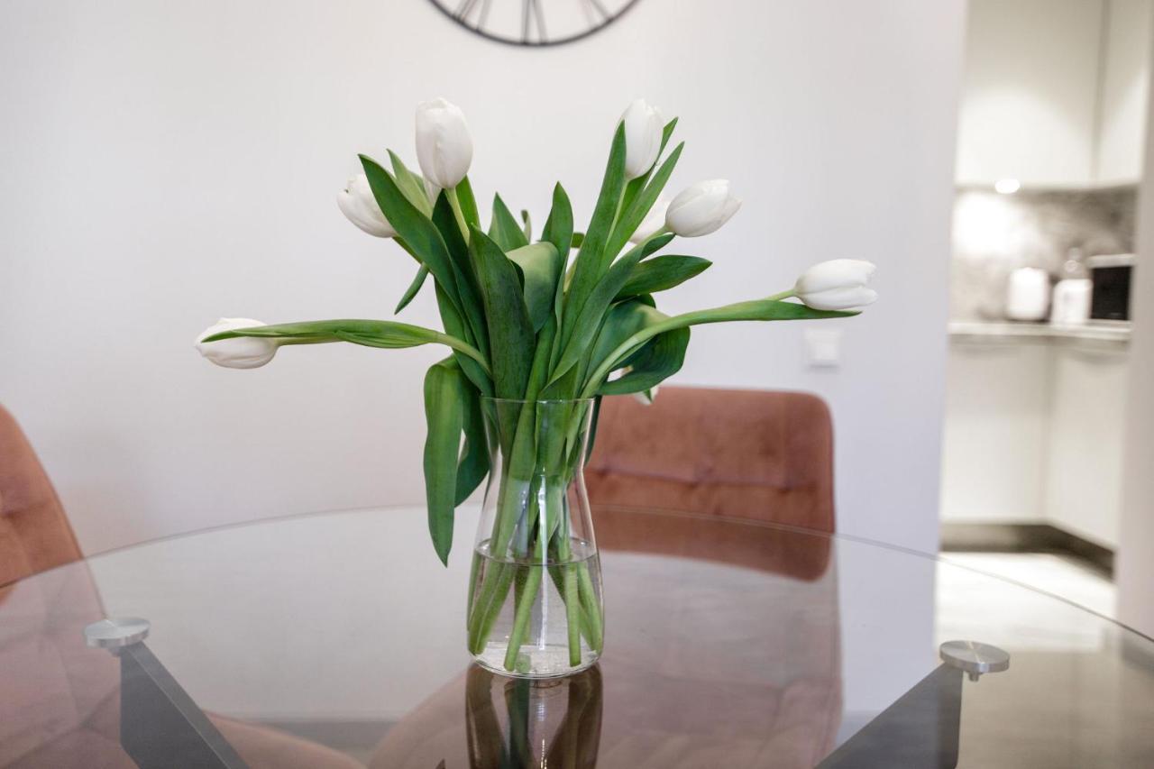 New Loft Majori With Terrace Apartment
